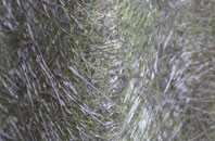 Golden Grove fibreglass roof work